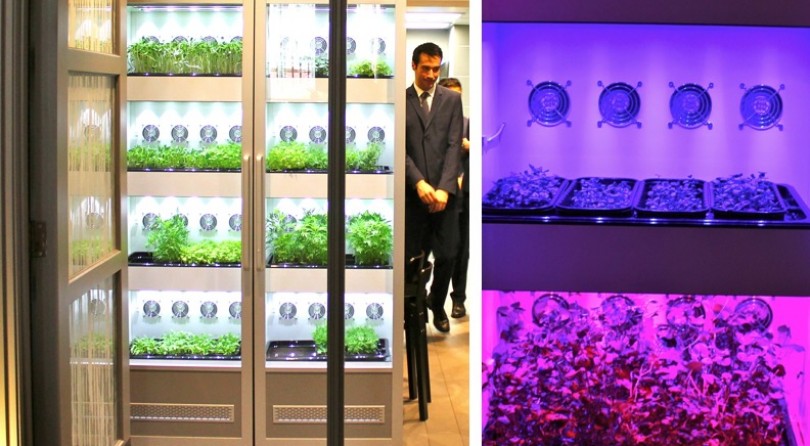 Evogro makes indoor plant growing systems for chefs