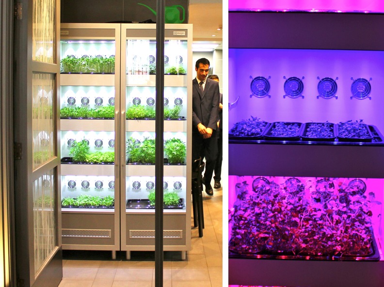yachts middle east - tech - Evogro - indoor planting system